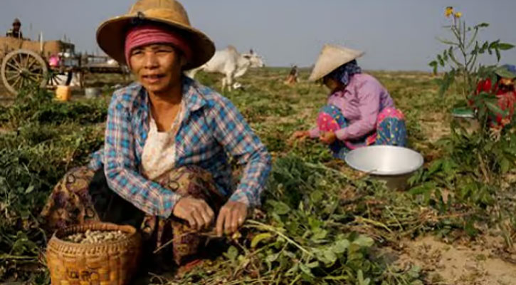 গৃহযুদ্ধে মিয়ানমারের অর্ধেক মানুষই দারিদ্র্যপীড়িত: জাতিসংঘ